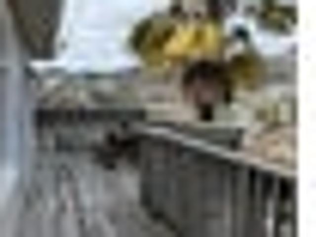 House for rent in Cable Bay, Nelson Bays