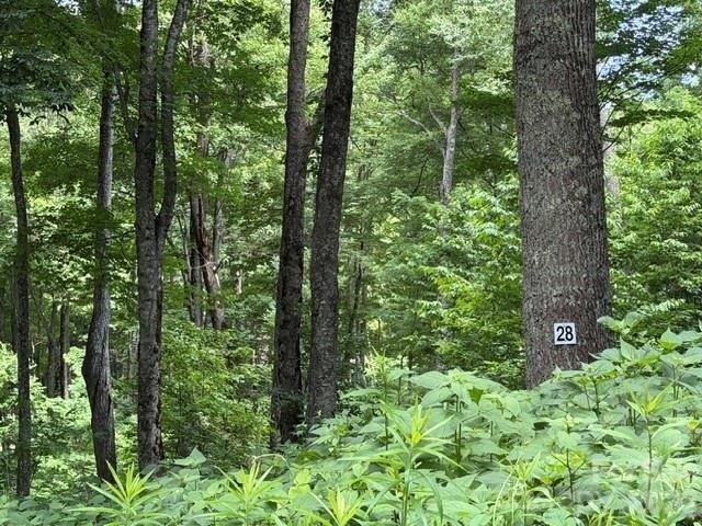 Land for sale in Haywood, North Carolina