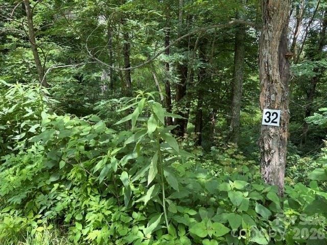 Land for sale in Haywood, North Carolina