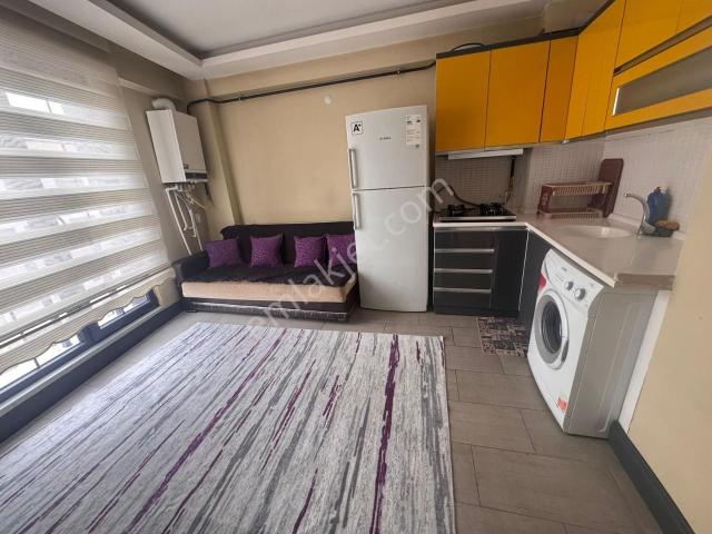 Tokat Merkez, Tokat içerisinde kiralık mülk