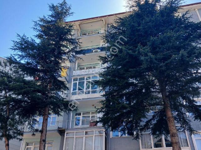 Tokat Merkez, Tokat içerisinde kiralık mülk