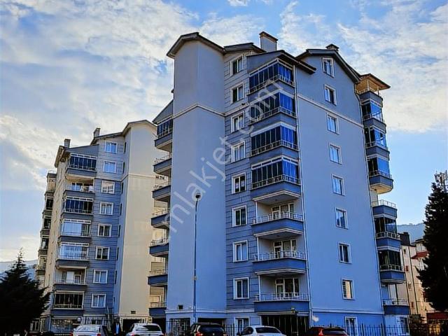Tokat Merkez, Tokat içerisinde kiralık mülk