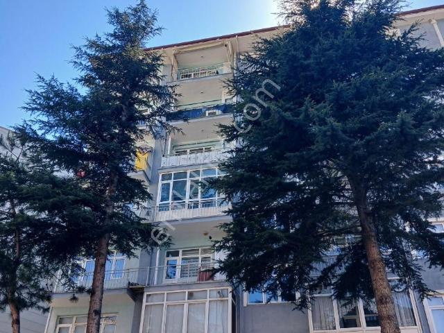 Tokat Merkez, Tokat içerisinde kiralık mülk