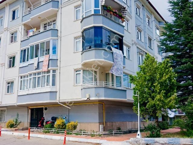 Tokat Merkez, Tokat içerisinde kiralık mülk
