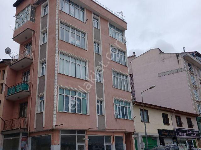 Tokat Merkez, Tokat içerisinde kiralık mülk