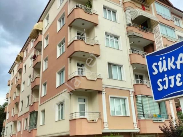 Tokat Merkez, Tokat içerisinde kiralık mülk