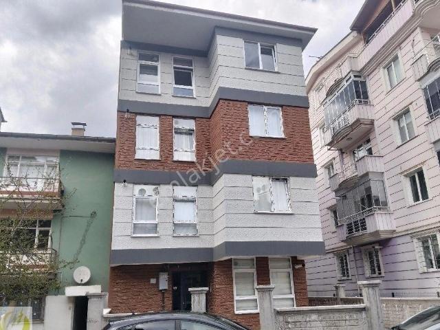 Tokat Merkez, Tokat içerisinde kiralık mülk