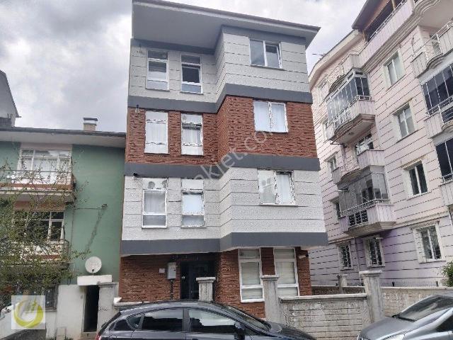 Tokat Merkez, Tokat içerisinde kiralık mülk