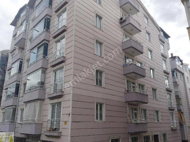 Tokat Merkez, Tokat içerisinde kiralık mülk