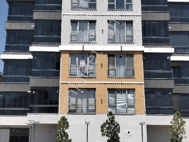 Tokat Merkez, Tokat içerisinde kiralık mülk