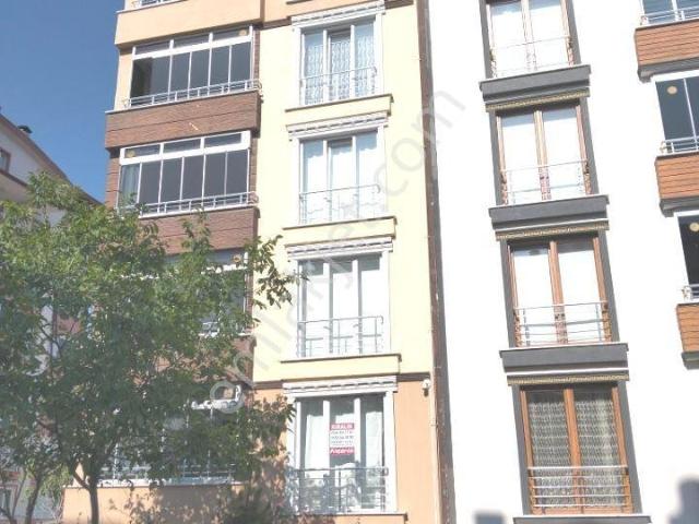 Tokat Merkez, Tokat içerisinde kiralık mülk