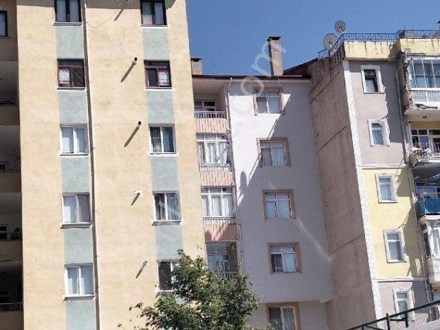 Tokat Merkez, Tokat içerisinde kiralık mülk