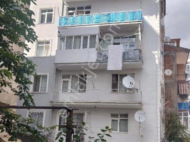 Tokat Merkez, Tokat içerisinde kiralık mülk