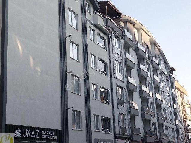 Tokat Merkez, Tokat içerisinde kiralık mülk