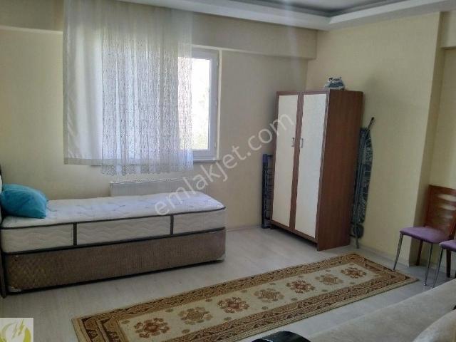Tokat Merkez, Tokat içerisinde kiralık mülk