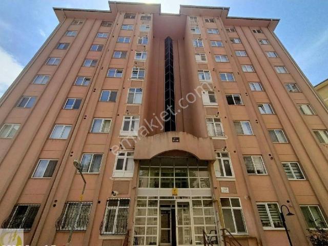 Tokat Merkez, Tokat içerisinde kiralık mülk