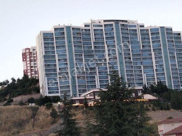 Tokat Merkez, Tokat içerisinde kiralık mülk
