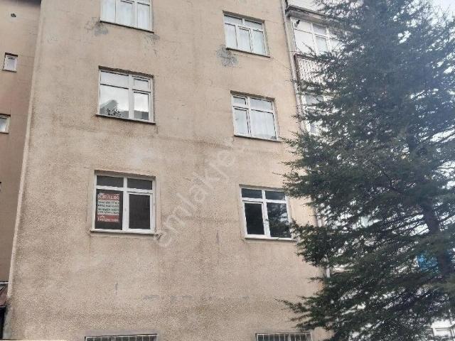 Tokat Merkez, Tokat içerisinde kiralık mülk