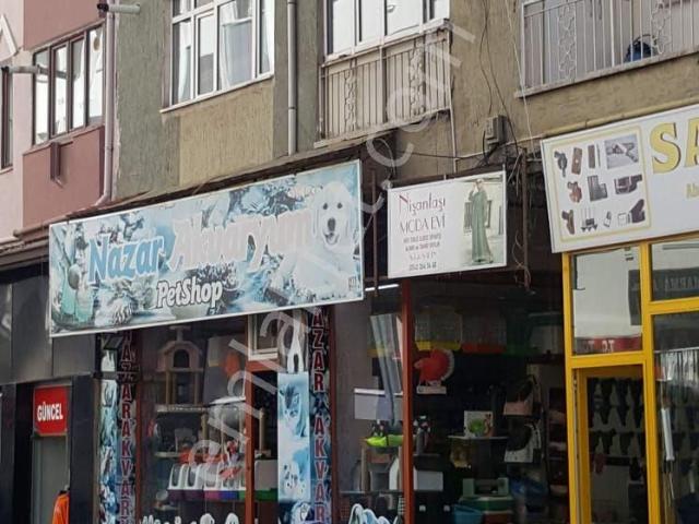 Tokat Merkez, Tokat içerisinde kiralık mülk