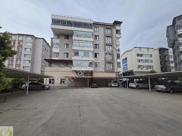 Tokat Merkez, Tokat içerisinde kiralık mülk