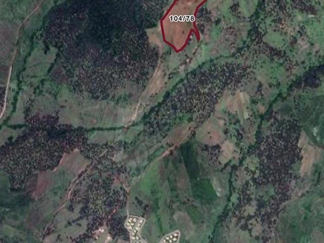 Ardıçlı, Niksar içerisinde satılık Arsa