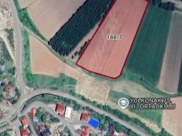 Yolkonak, Niksar içerisinde satılık Arsa