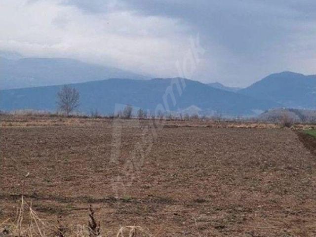 Çengelli Mahallesi, Niksar içerisinde satılık Arsa