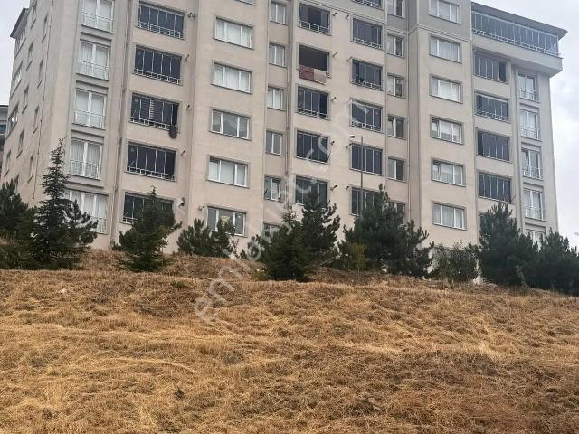 Tokat Merkez, Tokat içerisinde satılık mülk