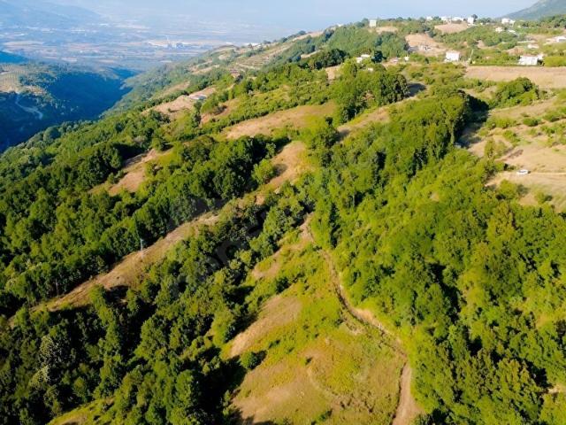 Gemlik, Bursa içerisinde satılık Arsa