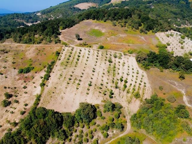 Gemlik, Bursa içerisinde satılık Arsa