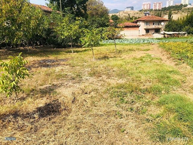 Dedeli, Tokat Merkez içerisinde satılık mülk