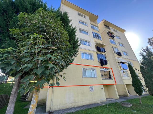 Adapazari, Sakarya içerisinde kiralık mülk