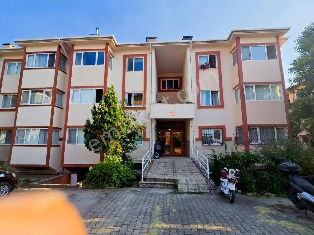 Yalova Merkez, Yalova içerisinde kiralık mülk