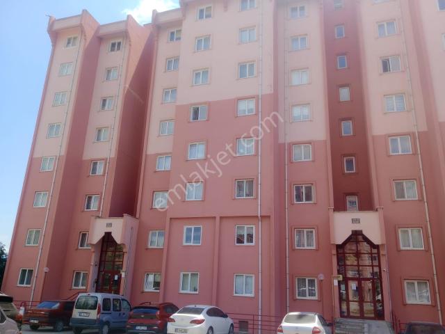 Tokat Merkez, Tokat içerisinde kiralık mülk