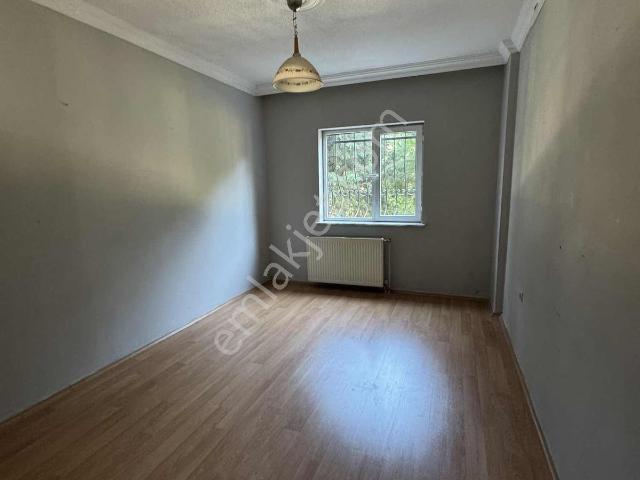 Pendik, İstanbul içerisinde kiralık mülk