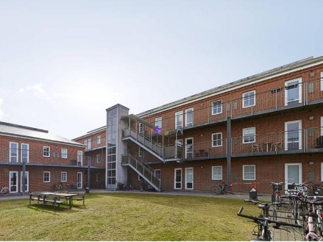 Hus til leje i Odense