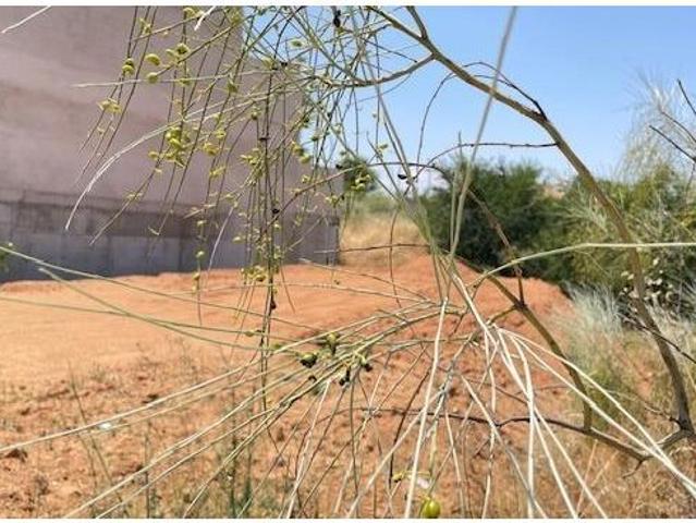 Local Comercial en venta en Toledo, Castilla-La Mancha