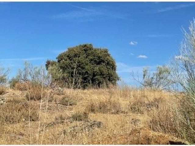 Local Comercial en venta en Toledo, Castilla-La Mancha