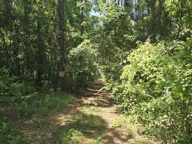 Land for sale in Silverhill, Alabama