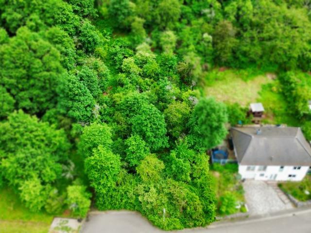 Erdgeschosswohnung kaufen in Waldhambach, Rheinland-Pfalz