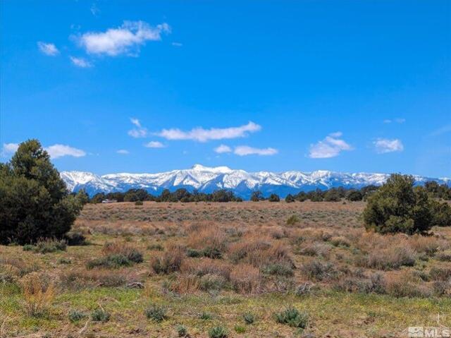 Land for sale in Reno Land for sale in Reno