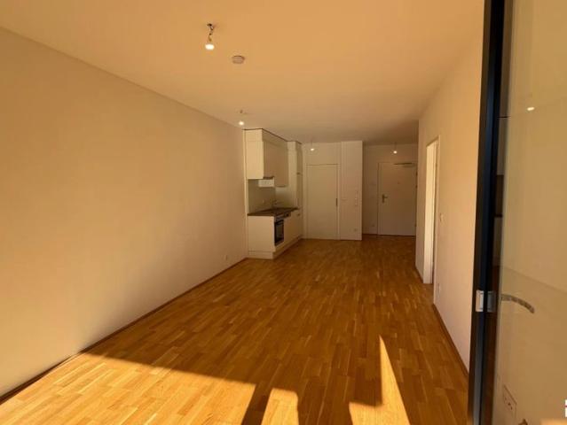 Apartment mieten in Katastralgemeinde Gries, Graz