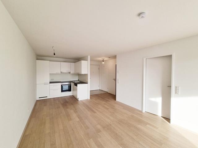Apartment mieten in Lustenau, Vorarlberg