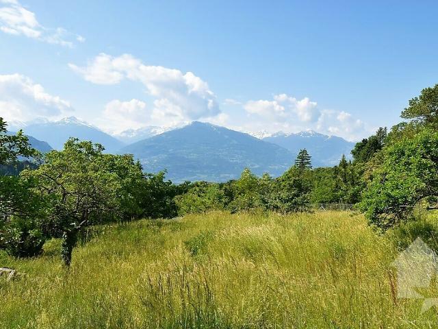 Immobilie kaufen in Ayent, Wallis