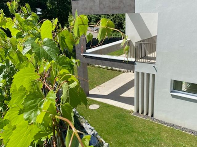 Haus mieten in Klosterneuburg, Niederösterreich