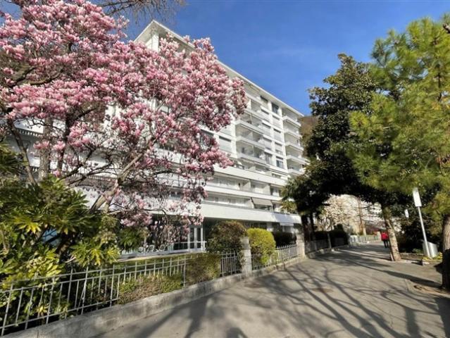 Wohnung kaufen in Chailly-Montreux, Waadt