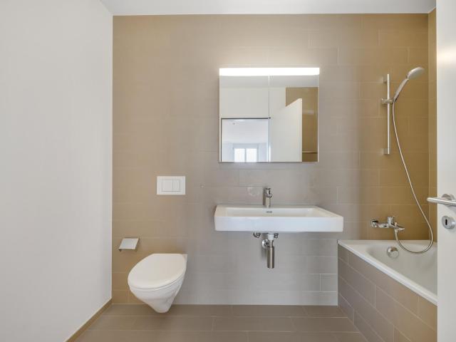 Apartment mieten in Dietikon