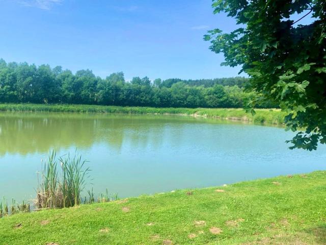 Gewerbe kaufen in Rechnitz, Burgenland