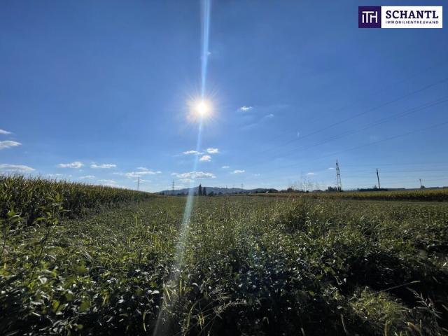 Grundstück kaufen in Gralla, Steiermark