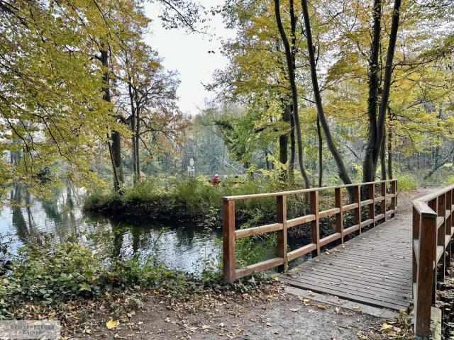Grundstück kaufen in Pottendorf, Niederösterreich